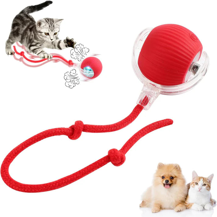 Interactive Rolling Ball For Cat