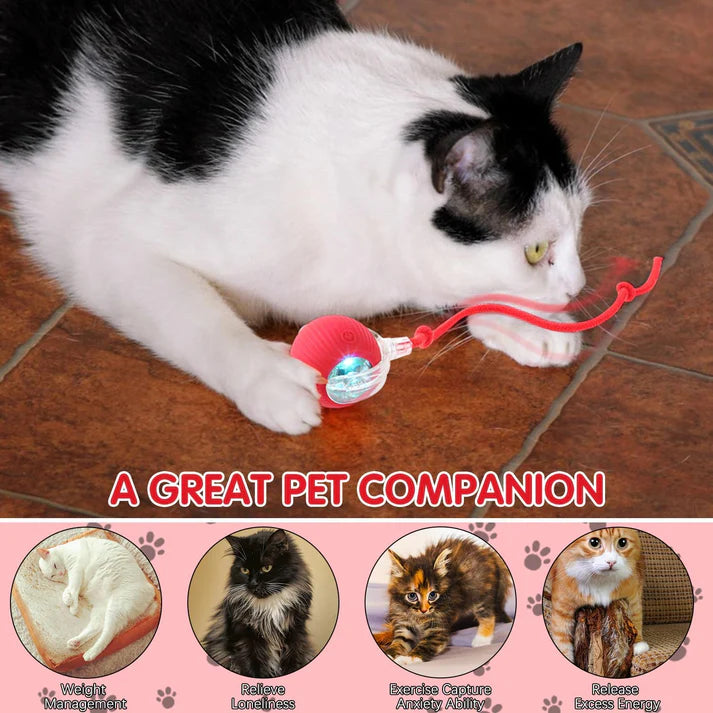 Interactive Rolling Ball For Cat