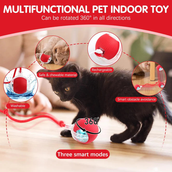 Interactive Rolling Ball For Cat