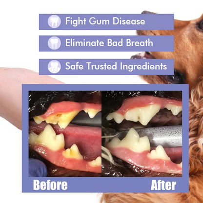 FurFresh Oral Spray For Dogs & Cats