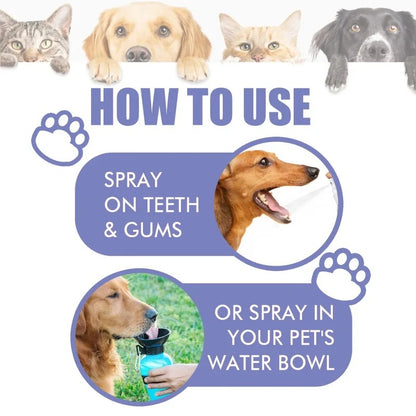 FurFresh Oral Spray For Dogs & Cats